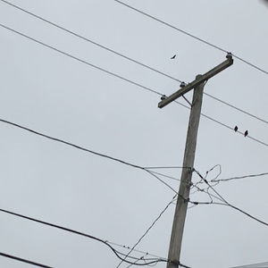 Meet your Posher, Mallory